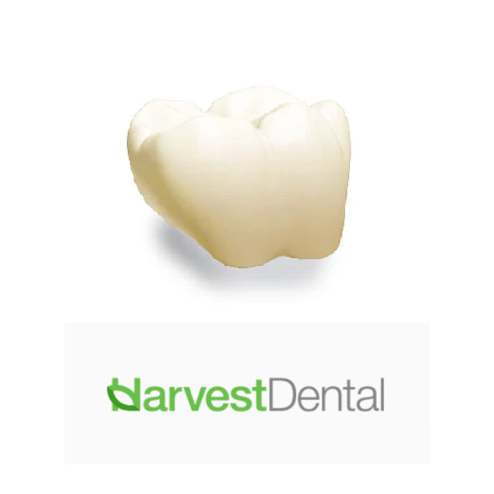 KNK Dental Solution®
