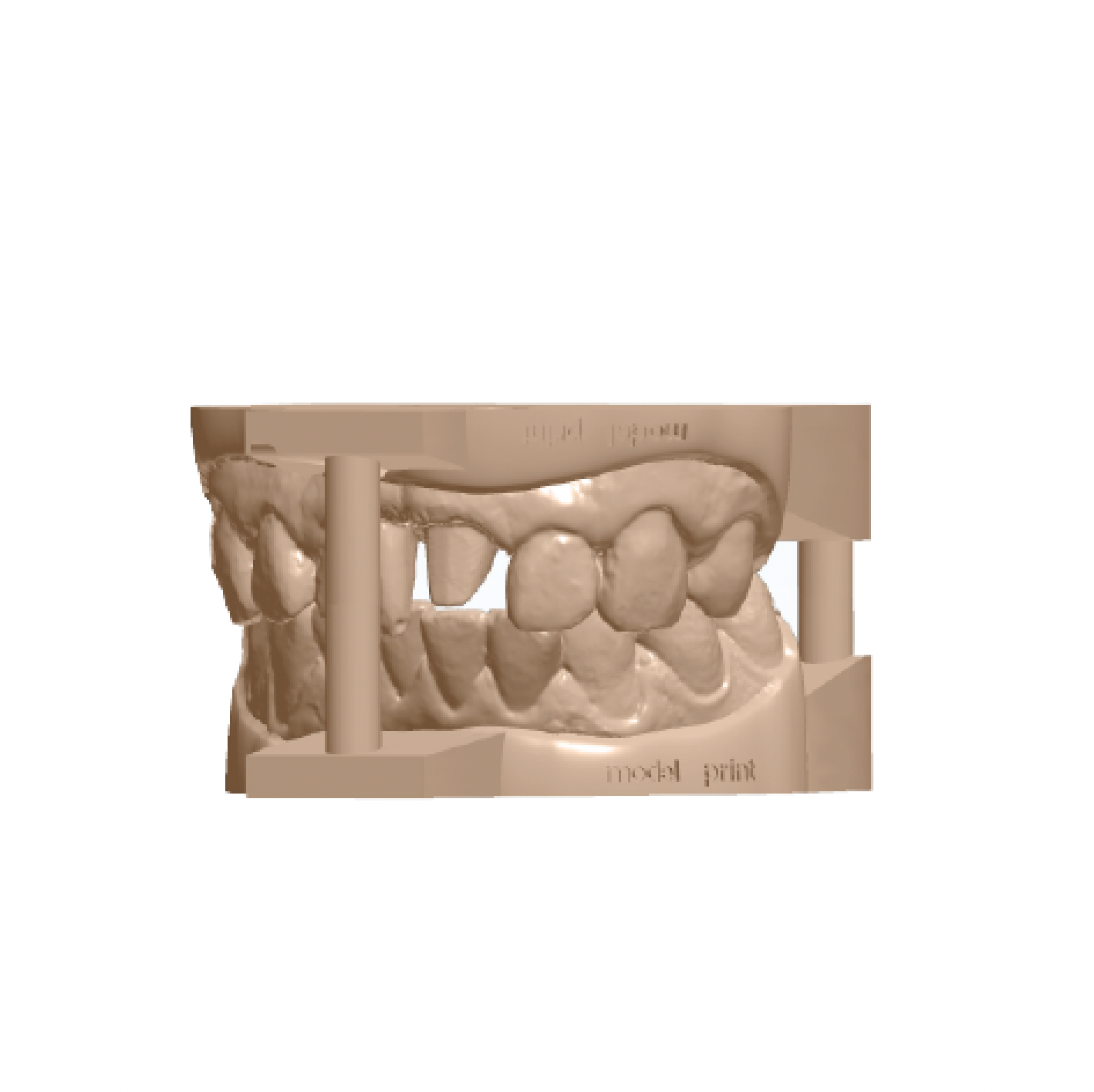 KNK Dental Solution®